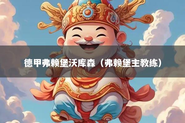 德甲弗赖堡沃库森（弗赖堡主教练）