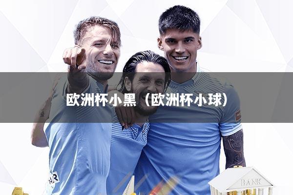 欧洲杯小黑（欧洲杯小球）